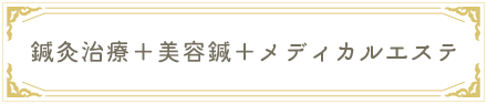 鍼灸治療＋美容鍼＋メディカルエステ